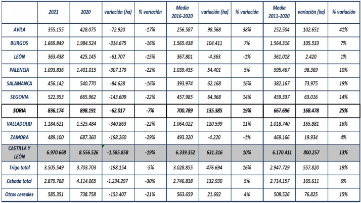 La previsión de cosecha en la provincia se estima en 836.174 toneladas