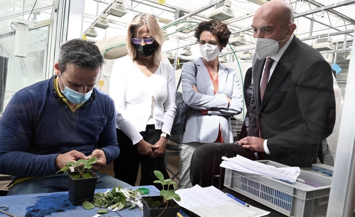 Nace el Plan de investigación agraria y agroalimentaria para garantizar modernidad y viabilidad al sector en Castilla y León