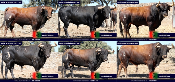 Serios sorandos para el cartelazo de este sábado en Soria