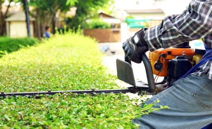 Covaleda necesita dos peones