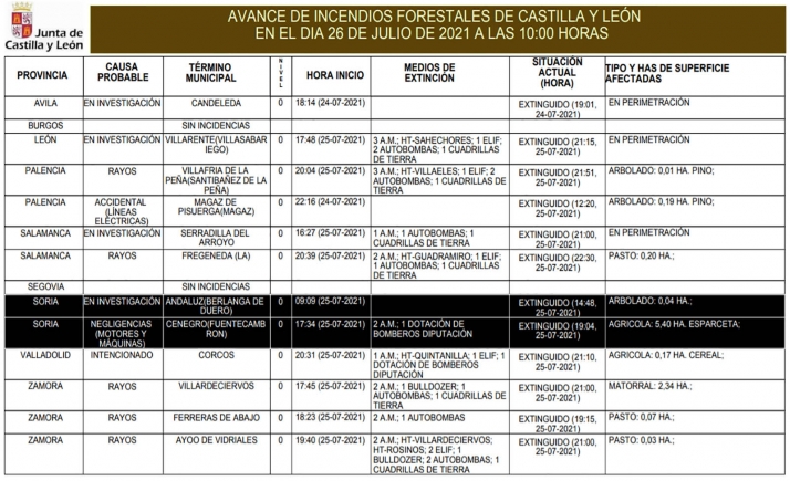Los fuegos forestales del domingo devastaron 54.440 metros cuadrados