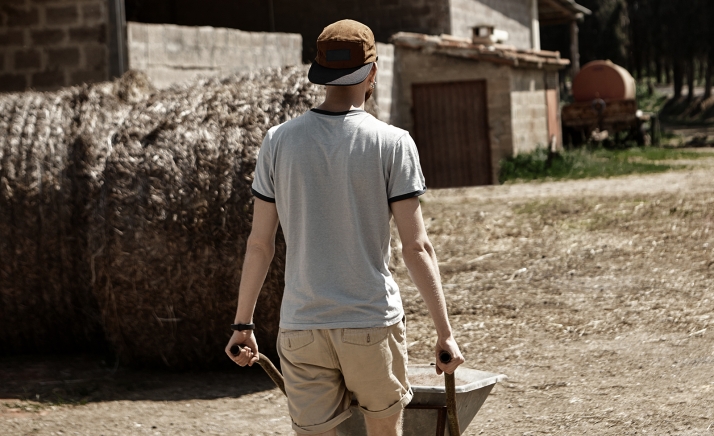 La Junta amplía el plazo para solicitar préstamos garantizados para la incorporación de jóvenes y la inversión en explotaciones agrarias