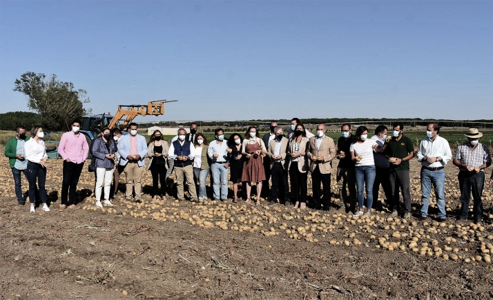 La patata de Castilla y León muestra su calidad a la distribución para ampliar los meses que se adquiere este producto con origen en la Comunidad