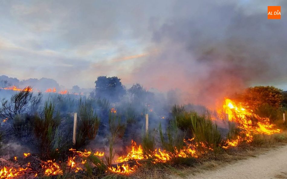 Foto 3 - Vecinos y Bomberos de Lumbrales tratan de sofocar un incendio en Olmedo de Camaces
