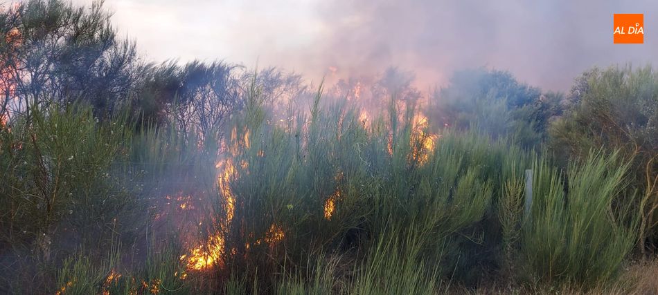 Foto 2 - Vecinos y Bomberos de Lumbrales tratan de sofocar un incendio en Olmedo de Camaces