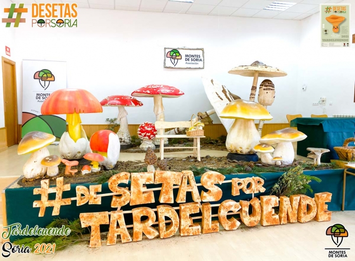 De setas por Tardelcuende o por qué la micología también se disfruta en verano