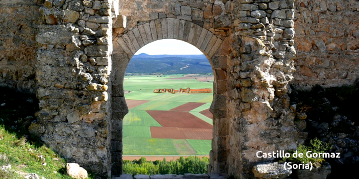 Asden alerta: Uno de los referentes de Soria en el mundo va a ser deteriorado por una macrogranja porcina