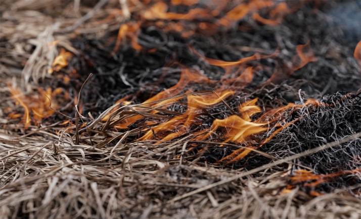 Conato de incendio en Barca