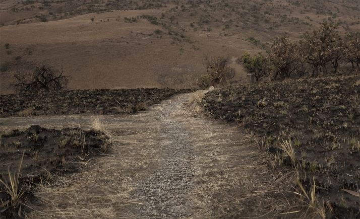 Adjudicados los trabajos de mejora de una pista forestal en Villarijo