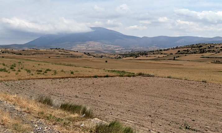 La Junta licita por 10,7 M€ infraestructuras para la zona de concentración parcelaria de Ágreda	