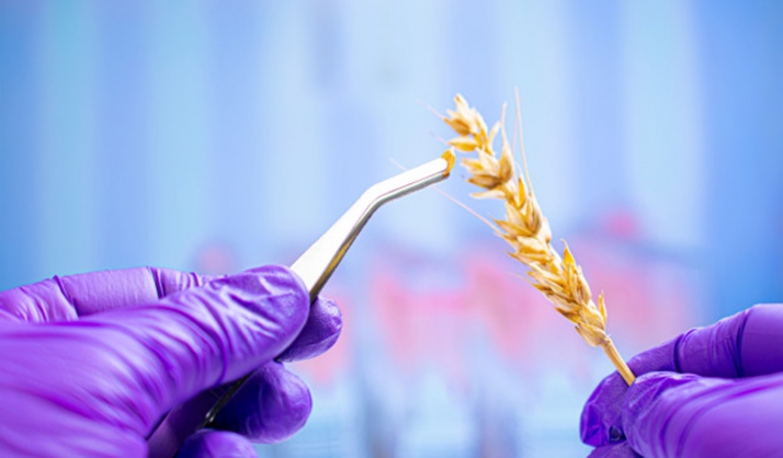 Más de 3.000 participantes en las jornadas online del Itacyl