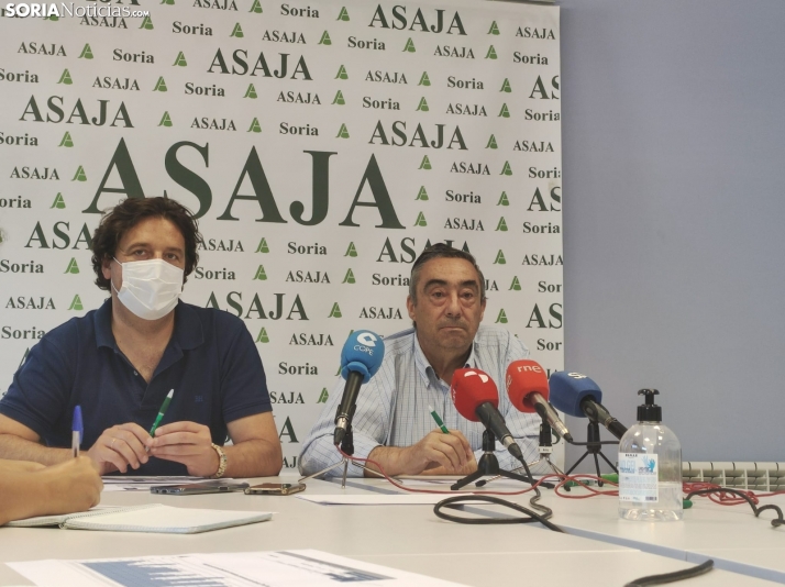 Carmelo Gómez arremete contra las voces contrarias a la granja porcina de Gormaz