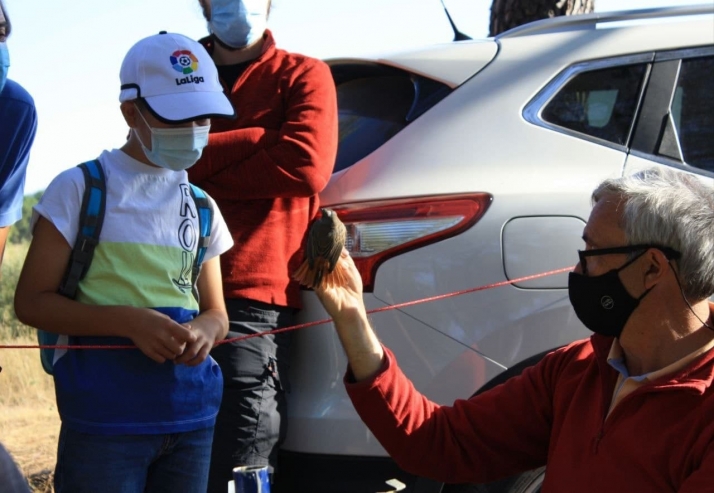 Las Jornadas Ornitológicas de Fuentecantos localizan un ejemplar de Bruselas de paso en Soria