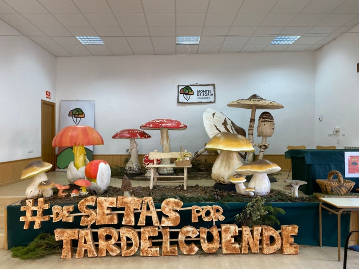 Éxito de la primera etapa del Summer Mycological Tour