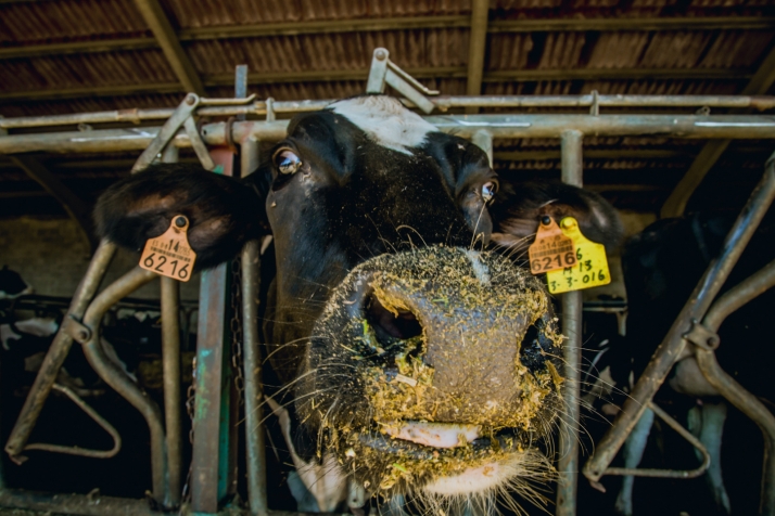 Castilla y León: 2,5M€ para el asesoramiento a explotaciones agrarias, forestales y pymes rurales en el año 2022