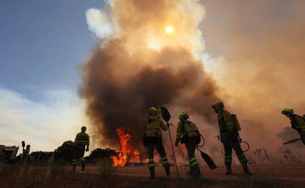 Se pretende luchar mejor contra incendios forestales, como el de San Felices de los Gallegos - Archivo