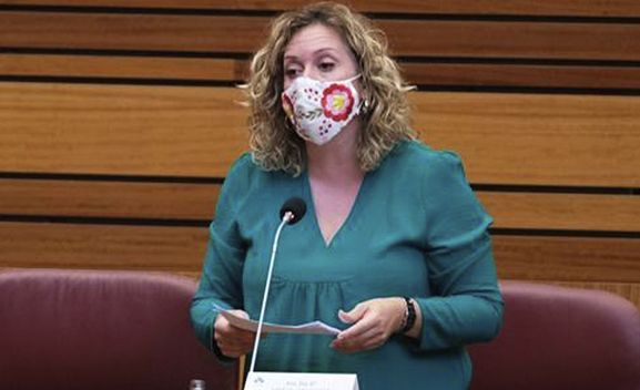 PSOE Soria celebra el crédito de 25 millones que el Gobierno ha concedido a Rugui