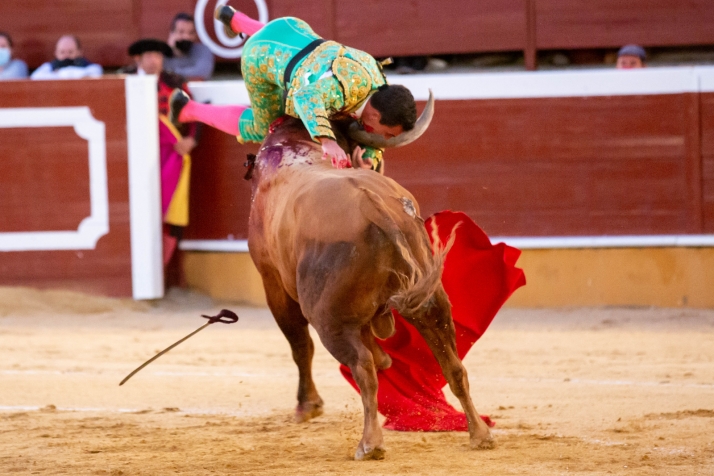 Galería: Corrida de Miuras en Soria