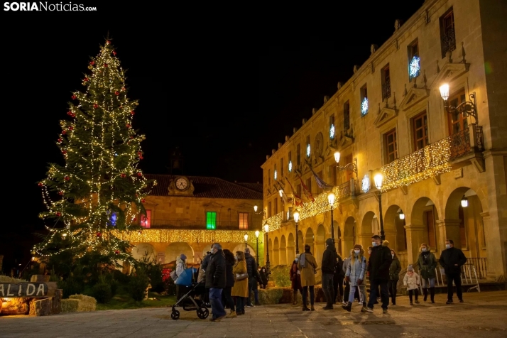 El PP pide al Ayuntamiento que los abetos de navidad sean sorianos