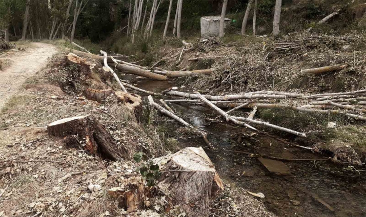 La CHE interviene en el Alhama, en Cigudosa, para evitar inundaciones