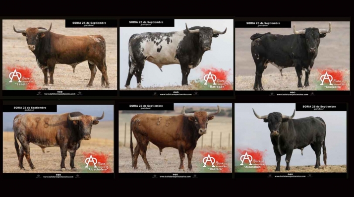 Puertas abiertas mañana para ver los miuras del sábado