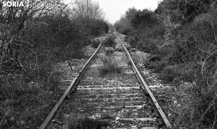 El Gobierno traslada a la Junta la preocupación común por los los servicios ferroviarios en Castilla y León y sus efectos en los efectos en el medio rural