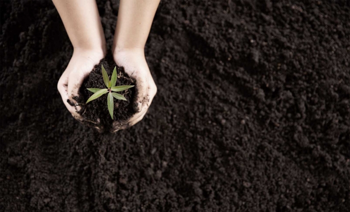 Los centros educativos de Castilla y León serán pioneros en la lucha frente al cambio climático
