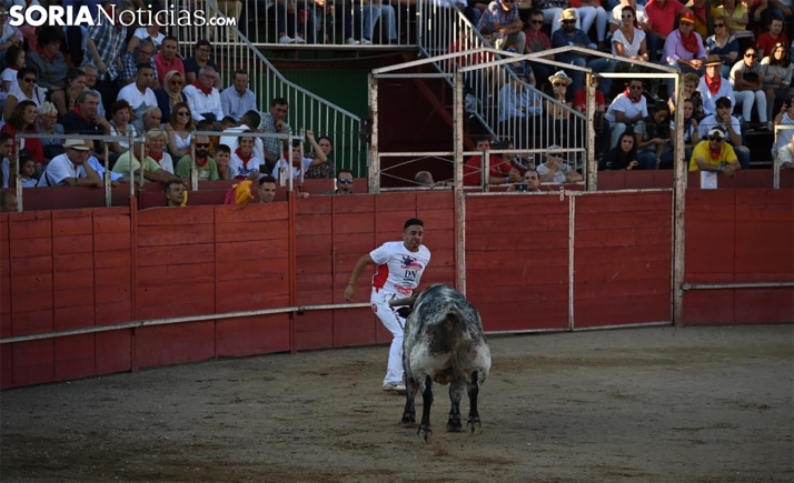 Ágreda celebrará capeas populares en San Miguel