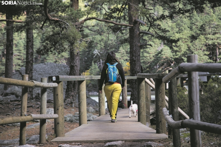 Así puedes conseguir hasta 350€ en un bono para hacer turismo en Castilla y León