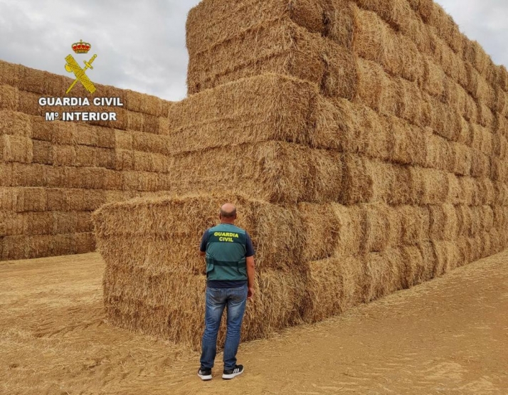 Detenido por estafar a agricultores en León