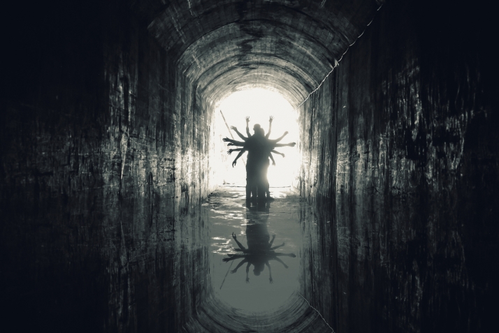 Desequilibrio, una imagen con premio y mucho trasfondo