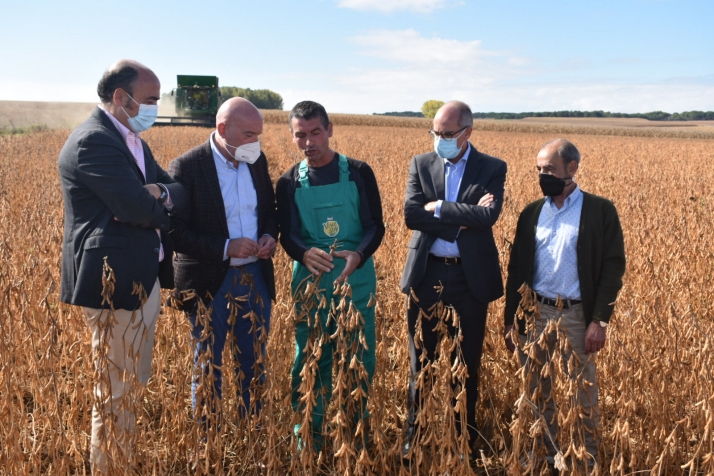 La soja, un cultivo en estudio para el regadío de los agricultores en Castilla y León