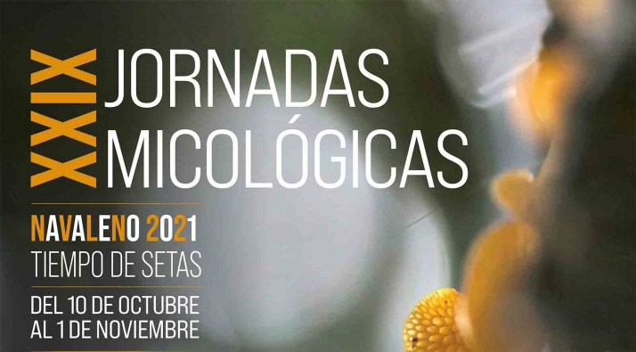 Navaleno recupera la exposición micológica, la feria agroalimentaria y la master class en ‘Tiempo de Setas’