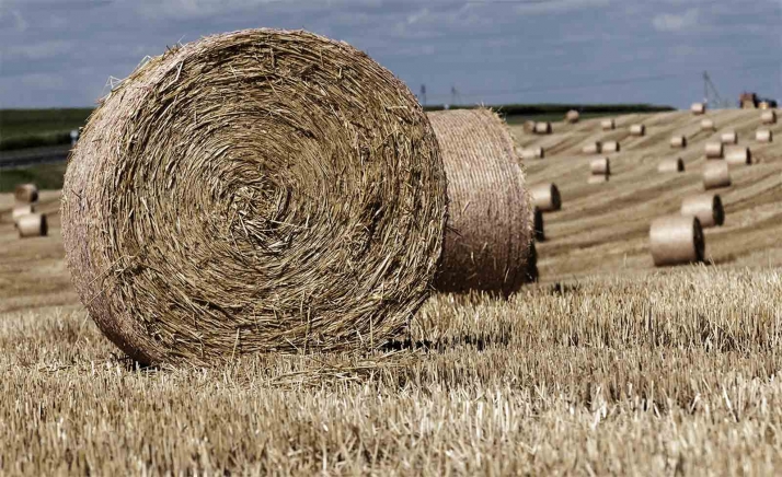 Trasladan a Gobierno y Junta su disconformidad por el nuevo modelo de regionalización para la próxima PAC