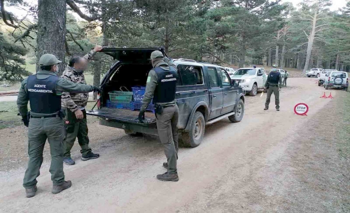 La campaña de control micológico suma 24 denuncias y 367 kilos decomisados