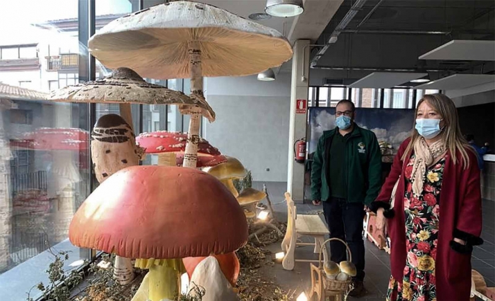 Montes de Soria se estrena como Parque Micológico con una exposición en el Mercado Municipal