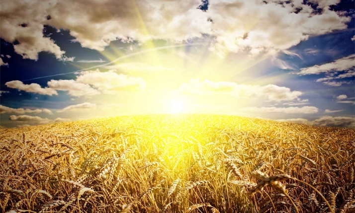 La consejería de Agricultura implanta medidas destinadas a la disminución de emisiones y al ahorro energético 