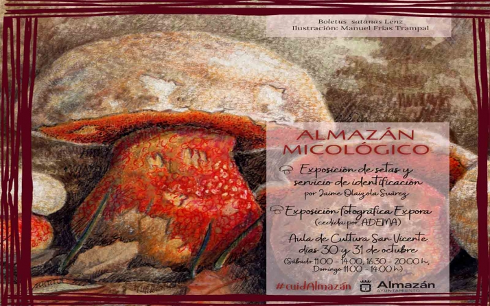 Almazán se acerca al reino micológico este fin de semana