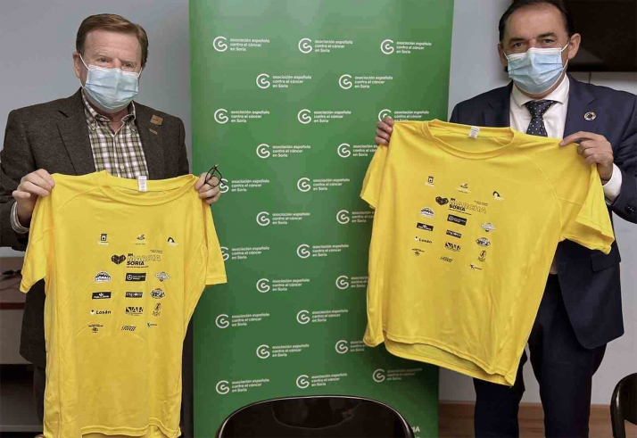 Diputación y AACC de Soria aúnan esfuerzos para actuaciones preventivas y de atención psicosocial a enfermos y sus familiares