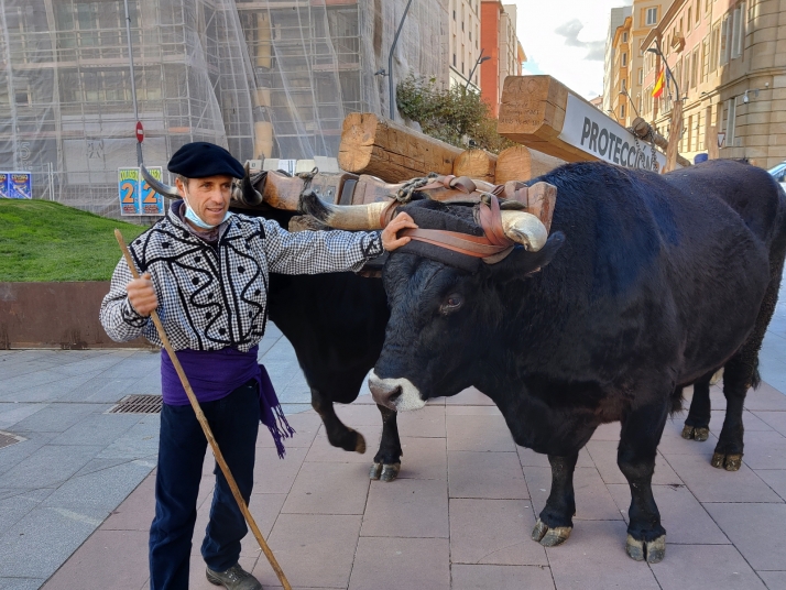 Jarda y Payaso reivindican en Soria el legado de una raza que se niega a desaparecer
