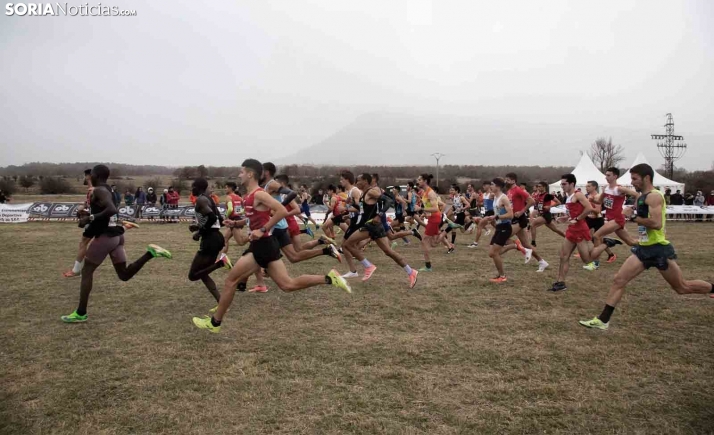 Resumen soriano en Valonsadero