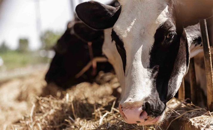 Valle de Odieta espera que la CHD rectifique ya que animó a iniciar el proyecto en 2017 