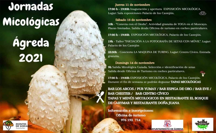 Ágreda celebra sus jornadas micológicas entre el jueves y el domingo