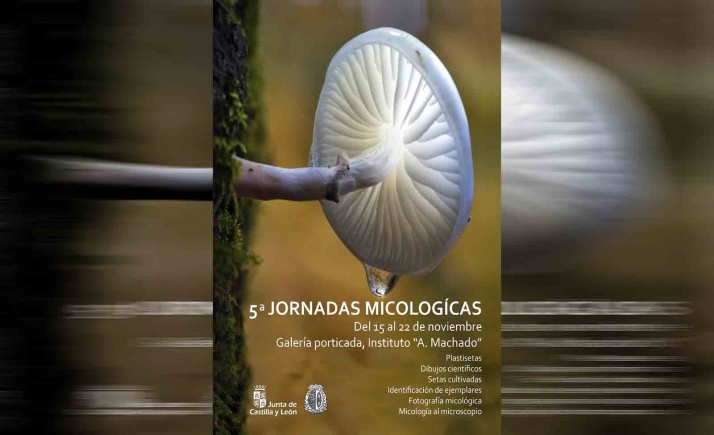 El IES Machado celebra sus V Jornadas Micológicas
