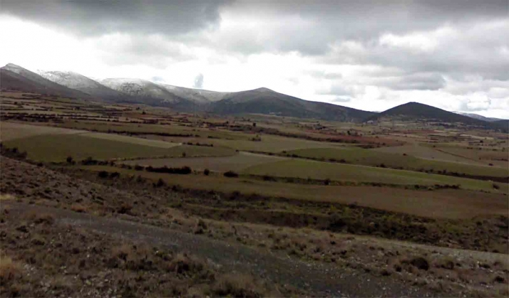 La Junta adjudica en 7,1 M€ infraestructuras para la concentración parcelaria de Ágreda