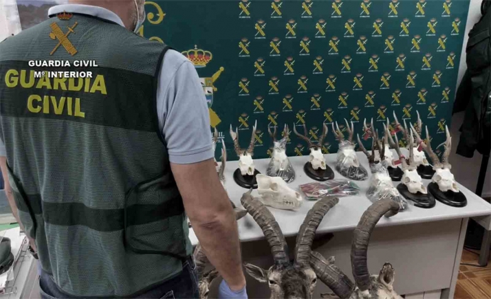 Desarticulada una trama de furtivos que manipulaba precintos para su reutilización