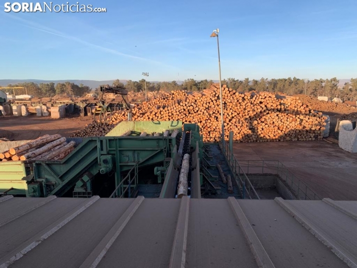 Biomasa y madera, materias claves del I Foro de Bioeconomía