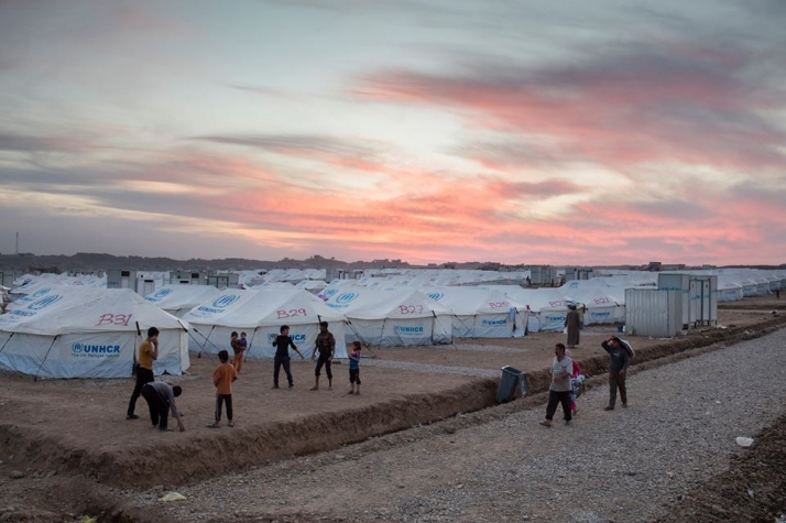 ¿Cuáles son los principales motivos para donar dinero a una ONG?