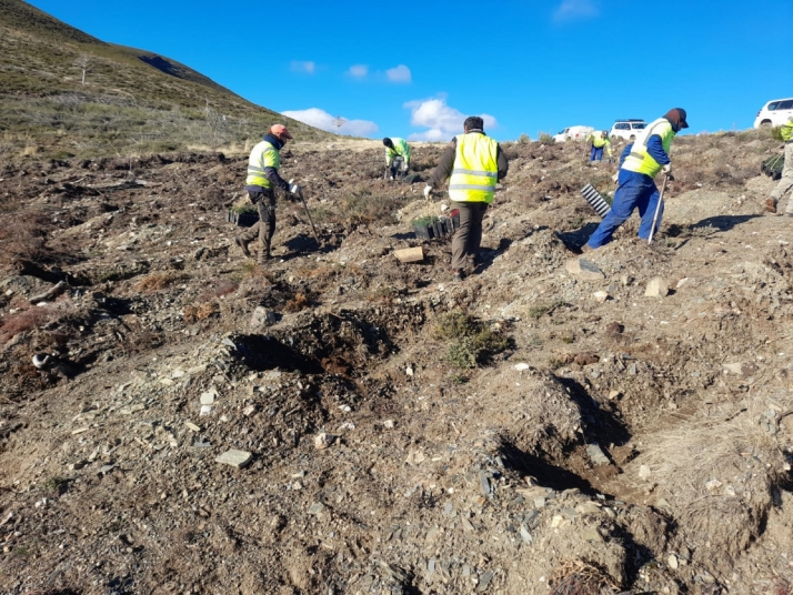Castilla y León contrata obras por 2,5 millones de euros para montes afectados por incendios forestales