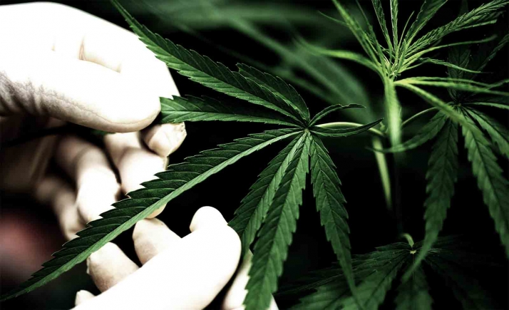 Ondara no cede y se mantiene en una plantilla de 40 empleos en producción